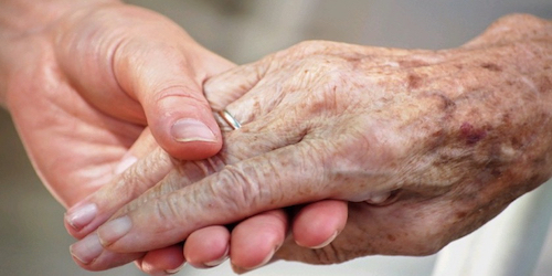 A young hand holds an elder's hand — generational care
